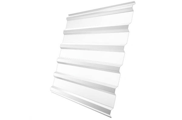 С20R RAL 9003 сигнальный белый